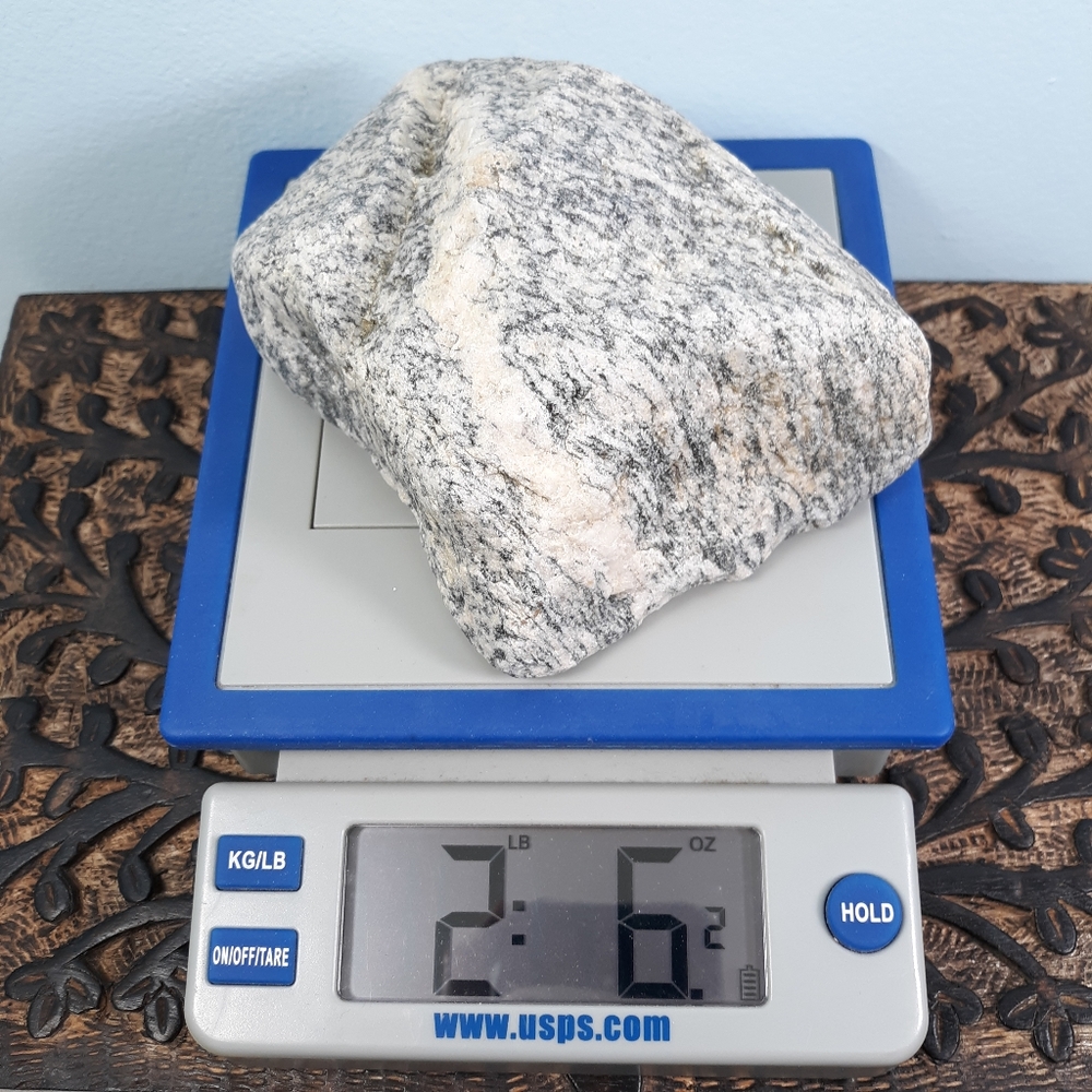Maine Banded Granite Stone East Coast Beach Rock Raw Mineral Specimen Gray White